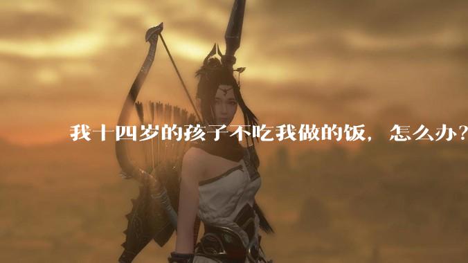 我十四岁的孩子不吃我做的饭，怎么办？