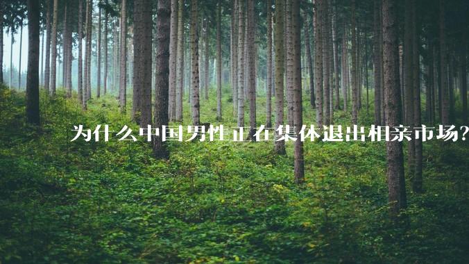 为什么中国男性正在集体退出相亲市场？