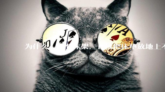 为什么一定要床架，直接把床垫放地上不行么？