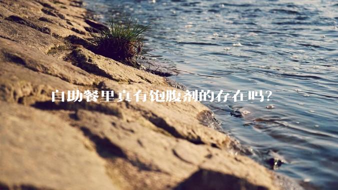 自助餐里真有饱腹剂的存在吗？
