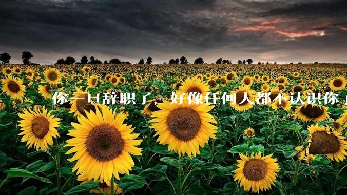 你一旦辞职了，好像任何人都不认识你了，是真的吗？
