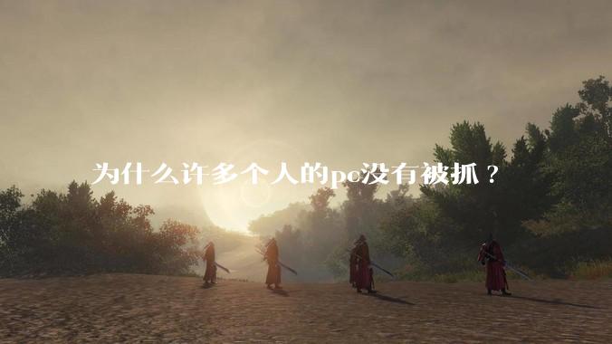 为什么许多个人的pc没有被抓?