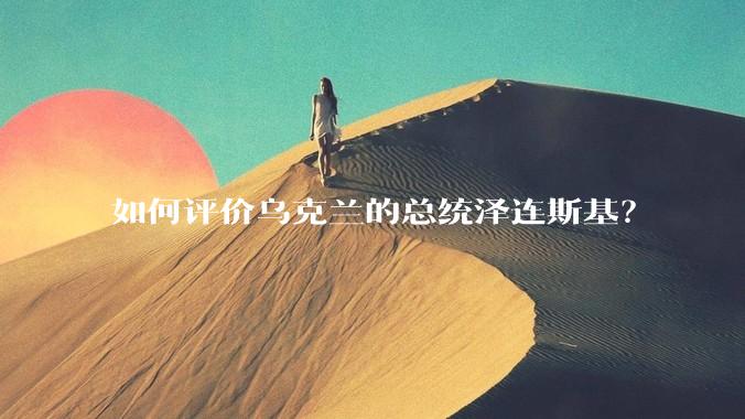 如何评价乌克兰的总统泽连斯基？