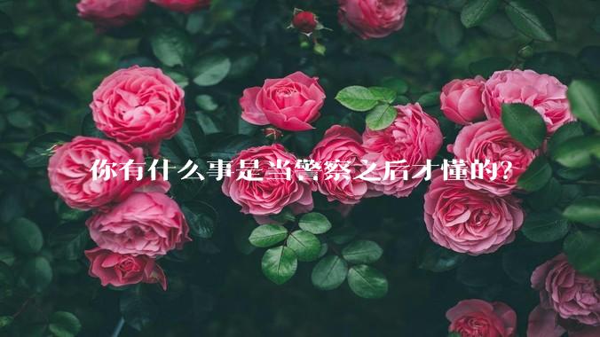 你有什么事是当警察之后才懂的？