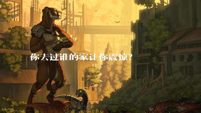 你去过谁的家让你震惊？