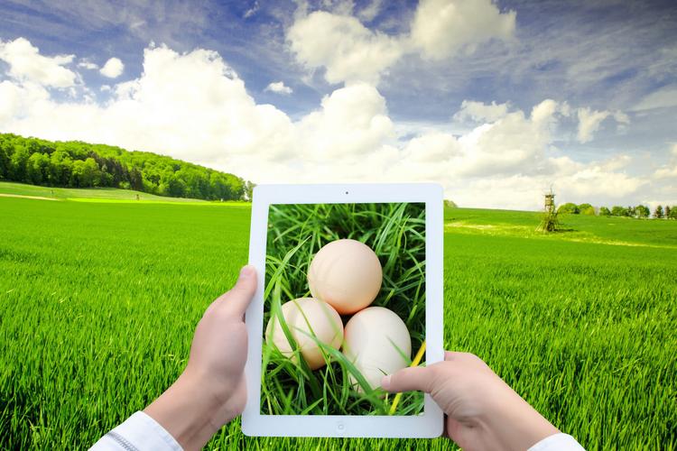 农业电商显韧性:上半年江苏农产品网络销售额同比增长28.2%