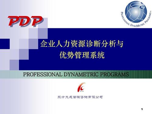 pdp-企业人力资源诊断分析与优势管理系统2011